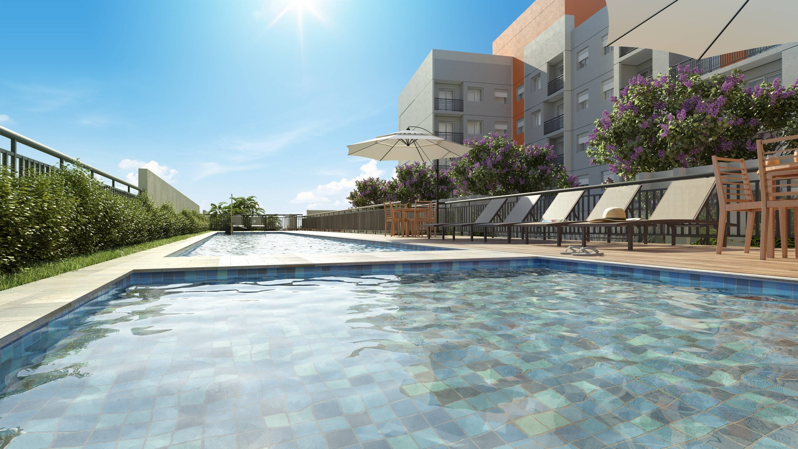 Imagem da Galeria 31